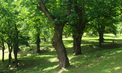 Al via in Valle Stura le iniziative di Giovani in gioco