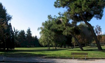 Prosegue l’attività di messa in sicurezza del patrimonio arboreo della Città di Cuneo