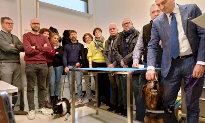 Cure gratuite per gli animali di chi non se lo può permettere: ad Alba apre l'ambulatorio veterinario sociale