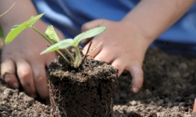 Giovedì al via il corso di agricoltura e giardinaggio organizzato dal Comune di Cuneo