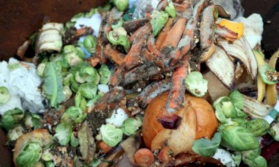 Spreco alimentare, Coldiretti Piemonte: 