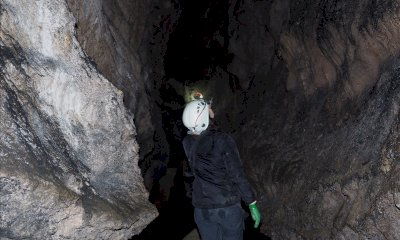 Nella Grotta di Rio Martino a Crissolo la più grande colonia svernante del pipistrello Barbastello d’Italia