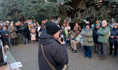 Salvare i cedri di piazza Europa? Per gli ambientalisti è questione di salute