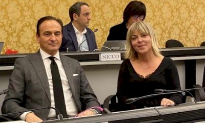 La Regione Piemonte: 