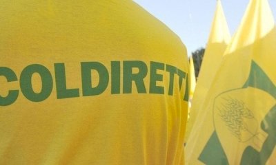 Gestione del rischio, Coldiretti Cuneo: 