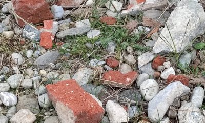 Nuovi distacchi dal ponte dell'Olla, il sindaco di Gaiola: 