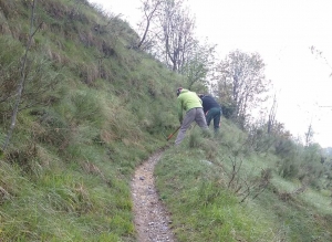 Lavori forestali della Regione in Valle Stura