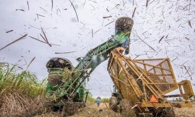 UE, Coldiretti Cuneo: “Superato lo stallo sulle Tea, ora accelerare per l’utilizzo nei campi”