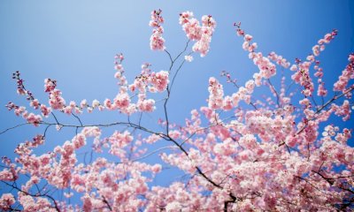 Sette eventi nella Granda in occasione dell'equinozio di primavera